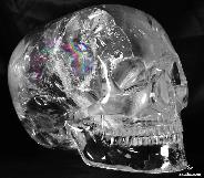 Clear Quartz Rock Crystal Carved Mitchell-Hedges Crystal Skull Replica