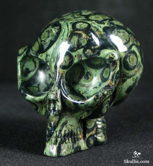 Kambaba Jasper Crystal Alen Skull