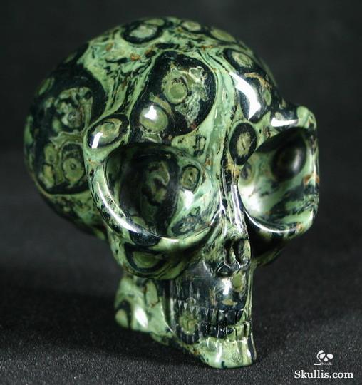 Kambaba Jasper Crystal Alen Skull