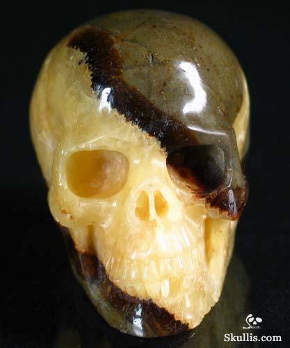 Dragon Septarian Stone Crystal Skull