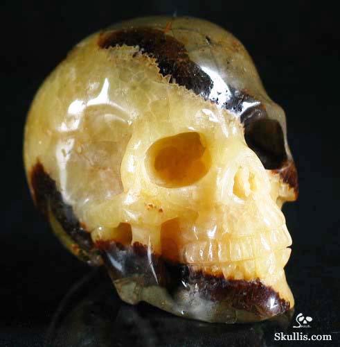 Dragon Septarian Stone Crystal Skull