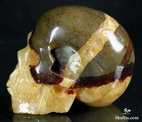 Dragon Septarian Stone Crystal Skull