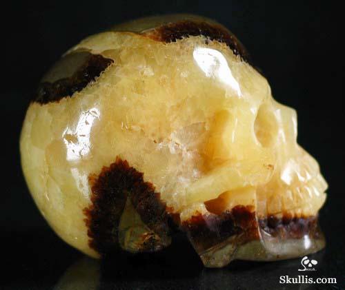 Dragon Septarian Stone Crystal Skull