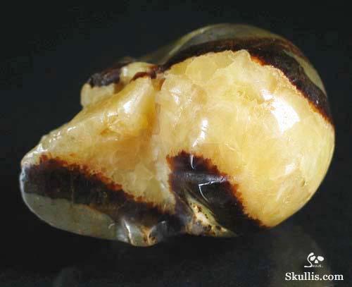 Dragon Septarian Stone Crystal Skull