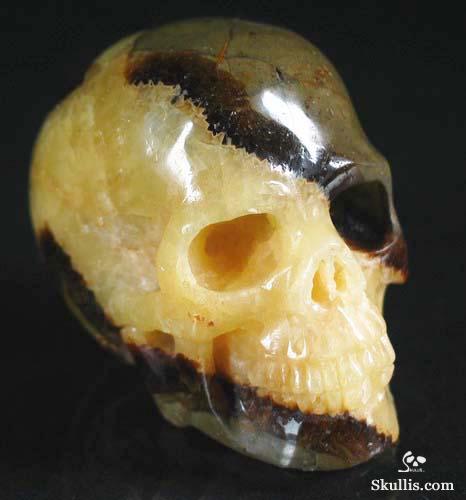 Dragon Septarian Stone Crystal Skull