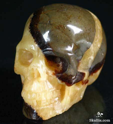 Dragon Septarian Stone Crystal Skull
