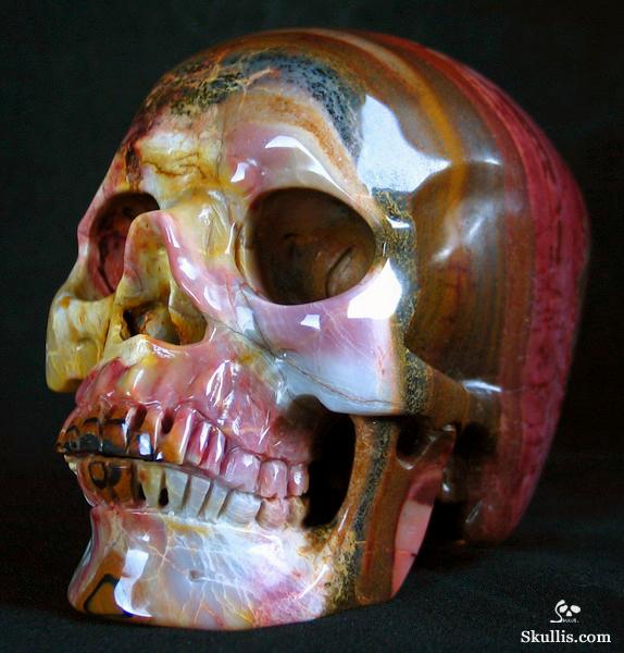 African-Petrified-Wood-Crystal-Skull-06.jpg