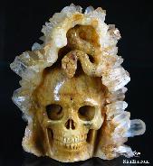 Druse 3.4 Quartz Rock Crystal Carved Crystal Skull and Snake