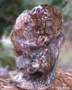 Clearest 3.6" Rutilated Quartz Rock Crystal and Smoky Carved Crystal Skull, Original