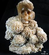 Moroccan, Flowery 6.4LB Desert ROSE Carved Mineral Specimen Skull Carving, Cluster