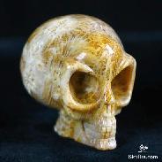 Gem 1.5" Coral Fossil Carved Crystal Alien Skull