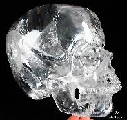 ZAMBIAN Lifesized/Life size 8.0" Quartz Rock Crystal Carved Crystal Skull Super Realistic