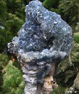 Stunning Druse, Cluster, Fluorite Carved Crystal Skull