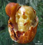 Stunning Original 3.4" Baltic Amber Carved Crystal Skull