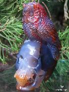 Stunning Design, 5.5" Agate Carved Crystal Skull, SUPER REALISTIC