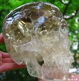 Biggest, Incredible Rainbows! 6.7" Citrine Carved Crystal Skull, Lifesized Super Realistic