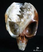 2.2" Quartz Rock Crystal Druse Carved Crystal Alien Skull