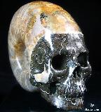 RARE Amazing Rainbows Biggest 6.8" Ammonite Fossil Carved Crystal Skull, Super Realistic 5.2LB, JUST FOR Zeltarah