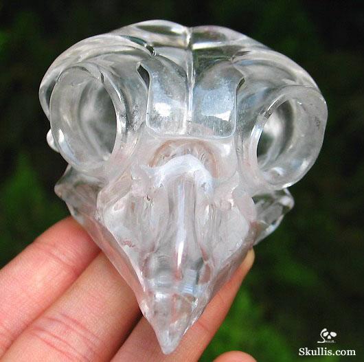 Quartz Rock Crystal Crystal Skull