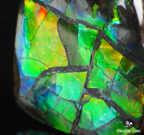Ammolite Crystal Skull