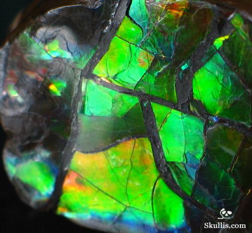 Ammolite Crystal Skull