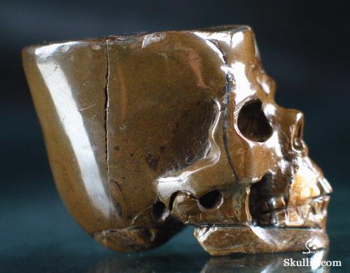 Ammolite Crystal Skull