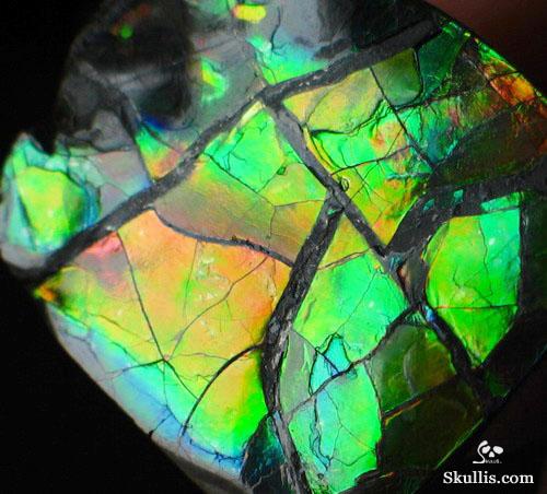 Ammolite Crystal Skull
