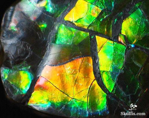 Ammolite Crystal Skull