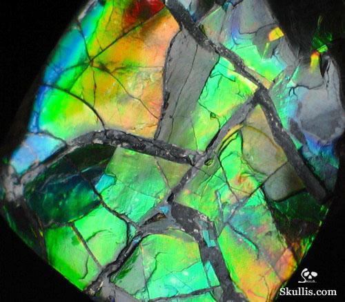 Ammolite Crystal Skull
