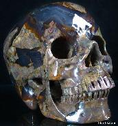 Huge 5.3" Dinosaur Egg Agate Carved Crystal Skull, Realistic