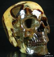 4.5" Dragon Septarian Stone Carved Crystal Skull, Super Realistic