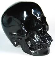 Giant 6.7" Black Obsidian Carved Crystal Skull, Super Realistic