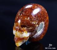 1.5" Ammonite Fossil Carved Crystal Skull