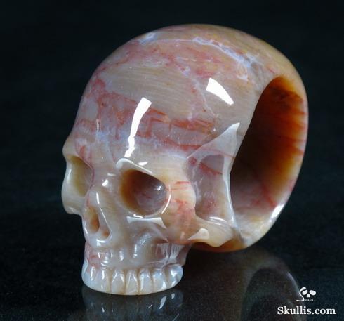 Petrified Wood Crystal Skull Ring
