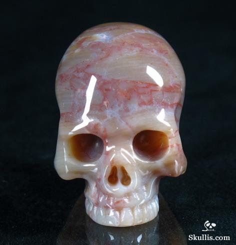 Petrified Wood Crystal Skull Ring