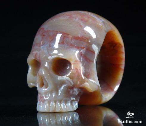 Petrified Wood Crystal Skull Ring