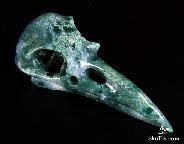 Green Moss Agate Carved Crystal Raven Skull Pendant