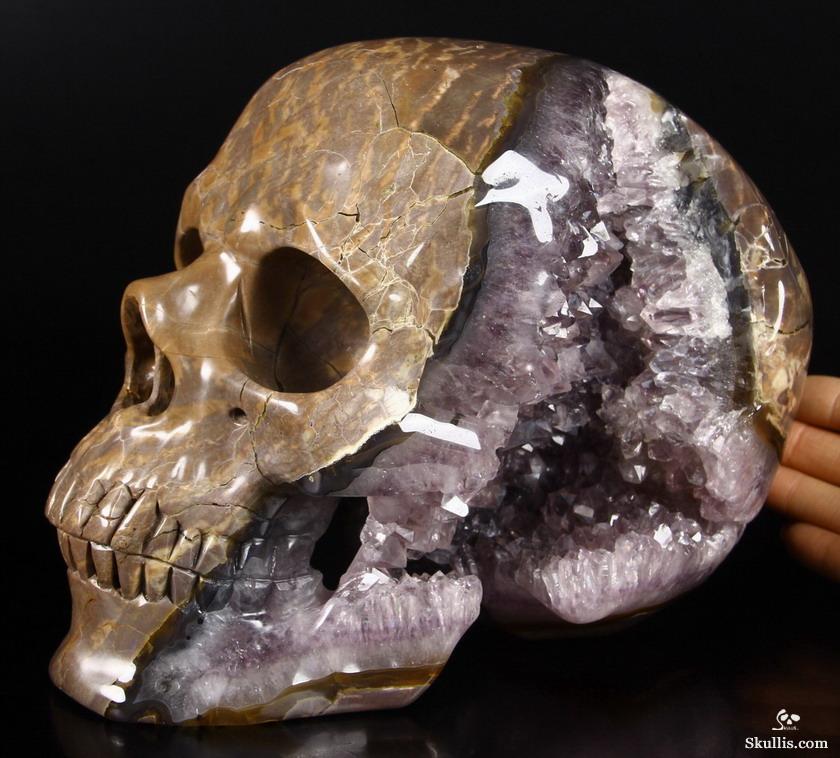 Unique Amethyst Geode Lifesized 8.0" Dinosaur Egg Agate Carved Crystal Skull Sculpture Unique Amethyst Geode Lifesized 8.0" Dinosaur Egg Agate Carved Crystal Skull Sculpture