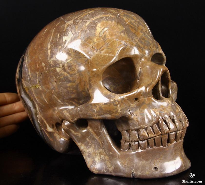 Unique Amethyst Geode Lifesized 8.0" Dinosaur Egg Agate Carved Crystal Skull Sculpture Unique Amethyst Geode Lifesized 8.0" Dinosaur Egg Agate Carved Crystal Skull Sculpture