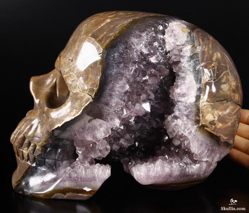 Unique Amethyst Geode Lifesized 8.0" Dinosaur Egg Agate Carved Crystal Skull Sculpture Unique Amethyst Geode Lifesized 8.0" Dinosaur Egg Agate Carved Crystal Skull Sculpture