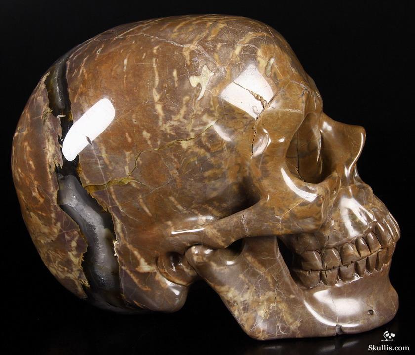 Unique Amethyst Geode Lifesized 8.0" Dinosaur Egg Agate Carved Crystal Skull Sculpture Unique Amethyst Geode Lifesized 8.0" Dinosaur Egg Agate Carved Crystal Skull Sculpture