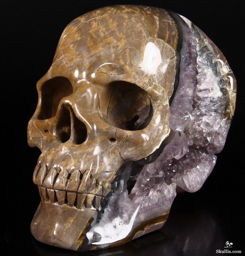 Unique Amethyst Geode Lifesized 8.0" Dinosaur Egg Agate Carved Crystal Skull Sculpture Unique Amethyst Geode Lifesized 8.0" Dinosaur Egg Agate Carved Crystal Skull Sculpture