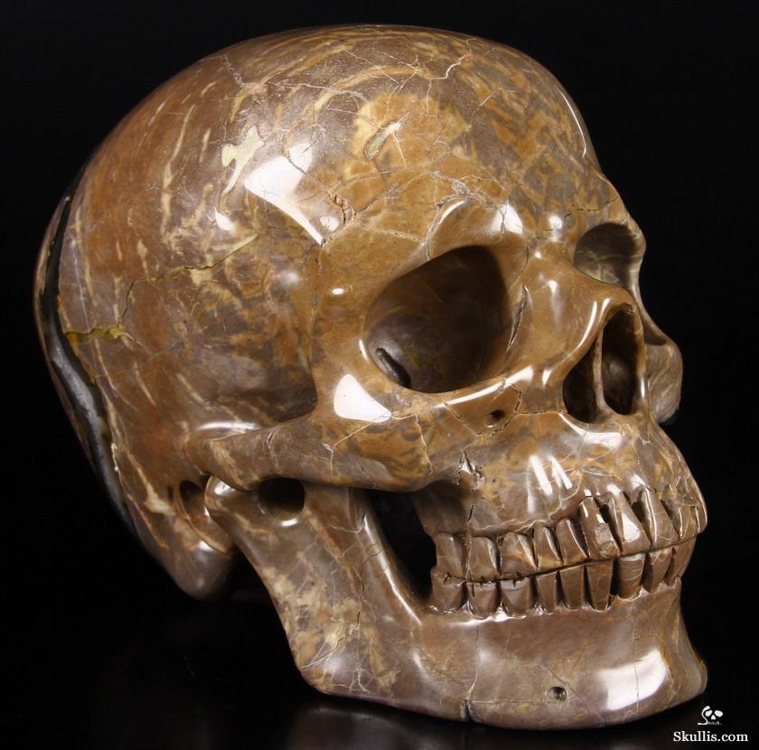 Unique Amethyst Geode Lifesized 8.0" Dinosaur Egg Agate Carved Crystal Skull Sculpture Unique Amethyst Geode Lifesized 8.0" Dinosaur Egg Agate Carved Crystal Skull Sculpture