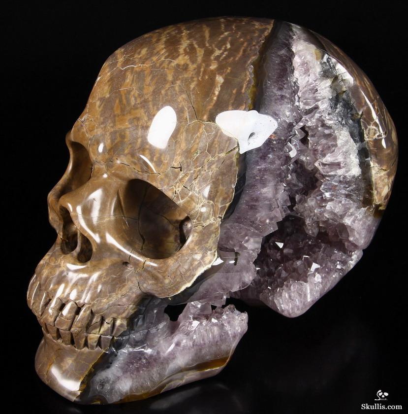 Unique Amethyst Geode Lifesized 8.0" Dinosaur Egg Agate Carved Crystal Skull Sculpture Unique Amethyst Geode Lifesized 8.0" Dinosaur Egg Agate Carved Crystal Skull Sculpture