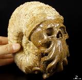 Huge 6.3" Ammonite Fossil Carved Crystal Skull & Octopus Sculpture