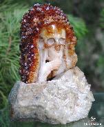 Original Citrine Druse Carved Crystal Thinking Skull
