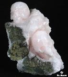 Rare, 6.9" Pink Rose Quartz Rock Crystal With DRUSE Skull Carving