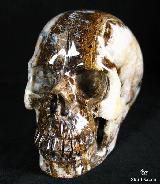 Geode, Huge 5.4" Tree Leaves Agate Carved Crystal Skull Realistic