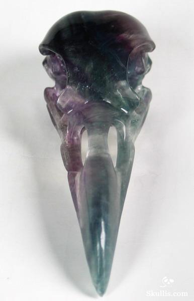 Fluorite Crystal Raven/Crow Skull