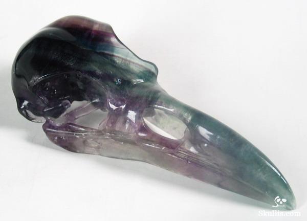 Fluorite Crystal Raven/Crow Skull